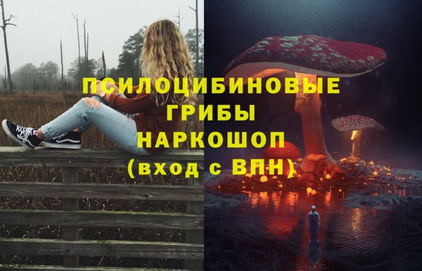крисы Покров