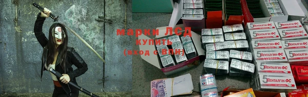 крисы Покров