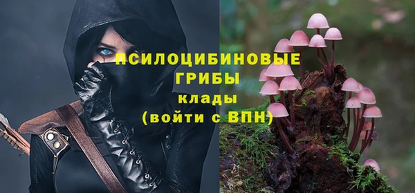 mdma Бикин
