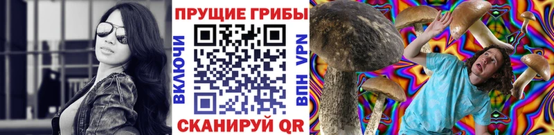 Псилоцибиновые грибы мицелий  цена   кракен зеркало  Белоусово 